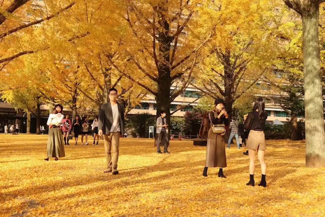 단풍이 든 공원길을 걷고 있는 사람들