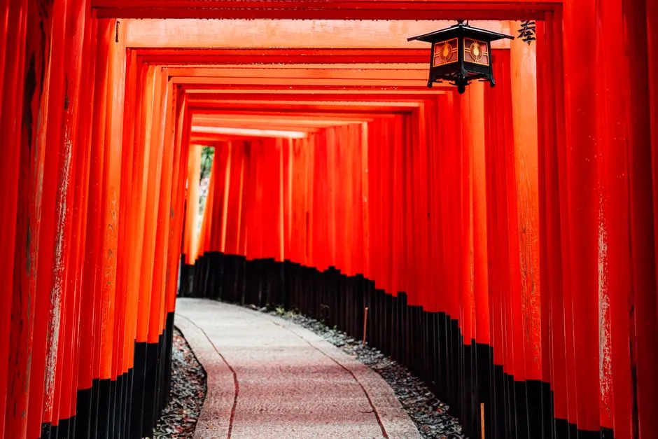 日本の国土面積とイギリスの比較、そして地域ごとの特性と旅行の楽しみ方