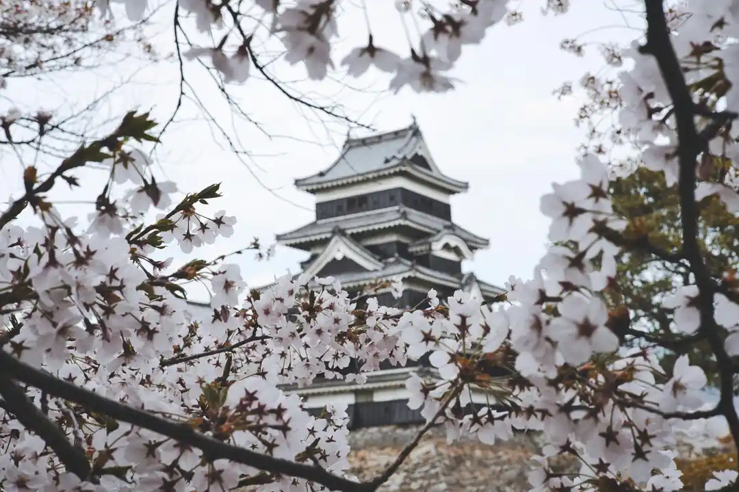 侍の日常生活と武士道の精神が現代に与える影響