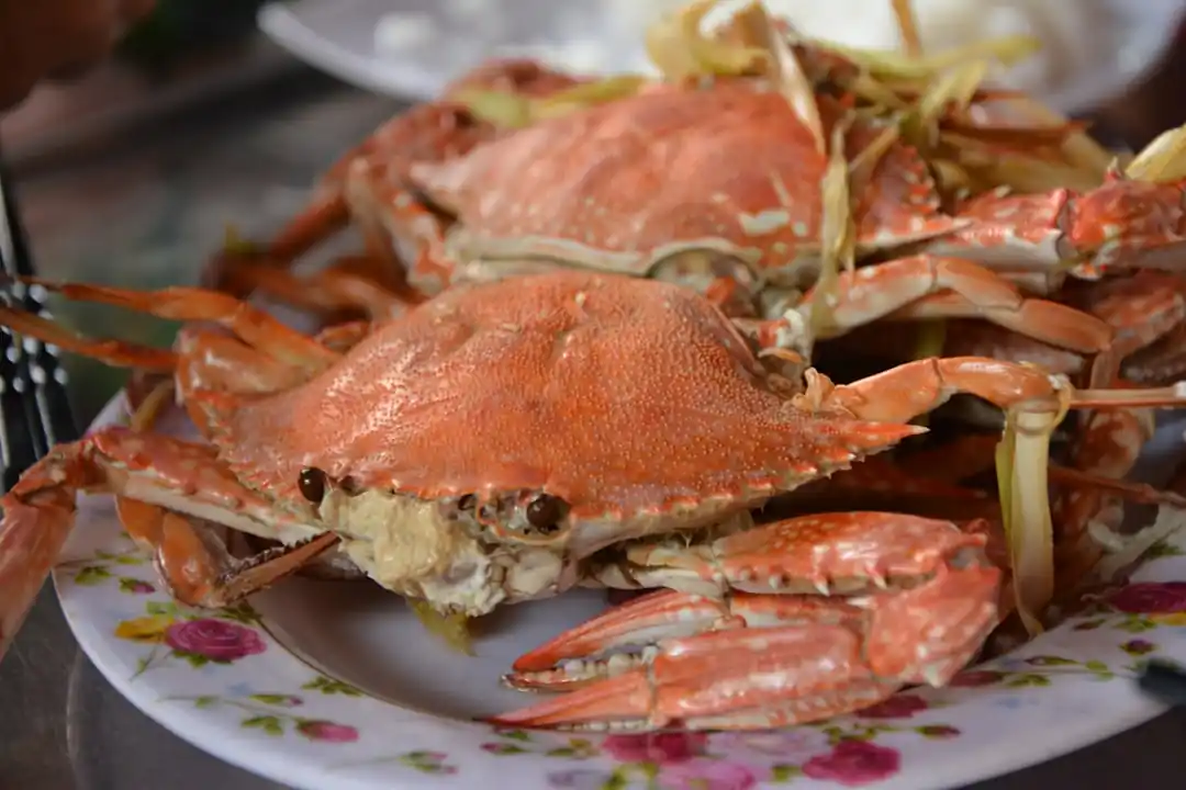 鳥取名物「カニ料理」を堪能!おすすめ店と最高の旬を解説