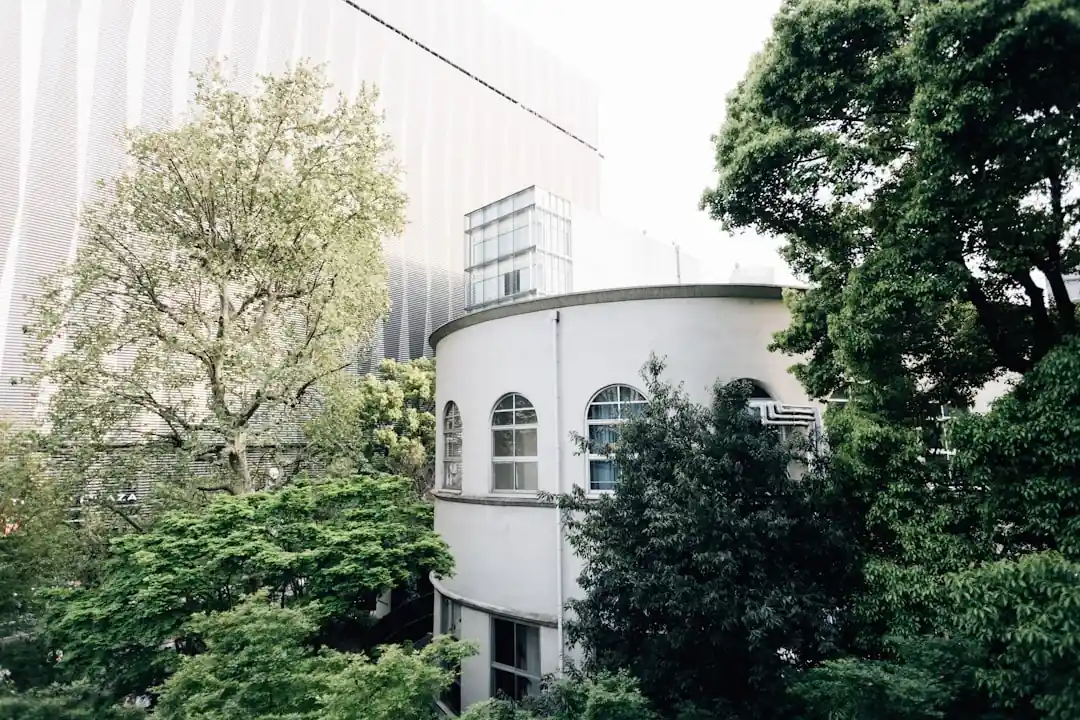 木々に囲まれた早稲田大学の白い校舎