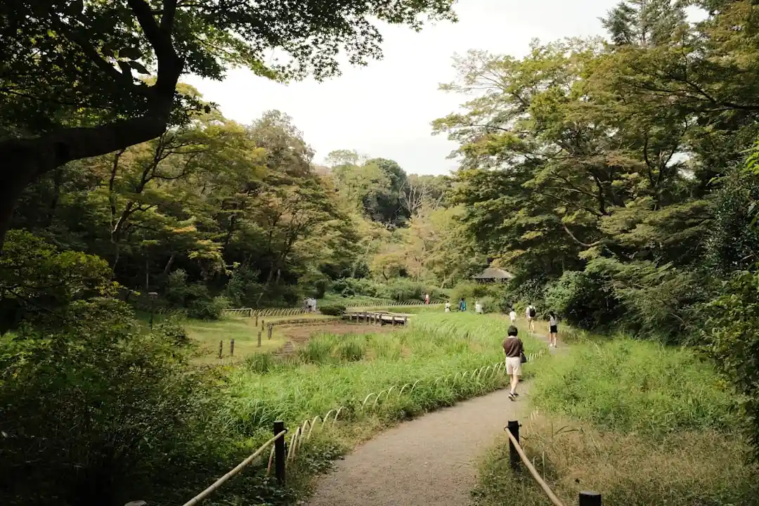 緑が生い茂る渓谷にかかる赤い橋