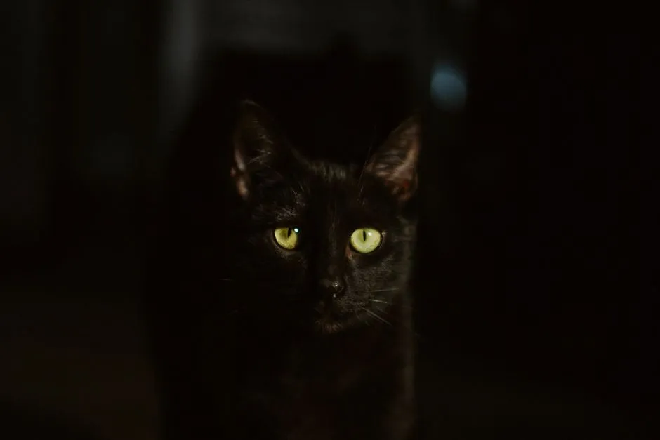 The origins and history of Friday the 13th: decoding the superstition