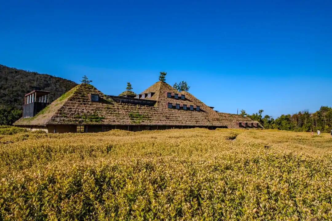 芝生に覆われたユニークなデザインのラ コリーナ近江八幡の建物