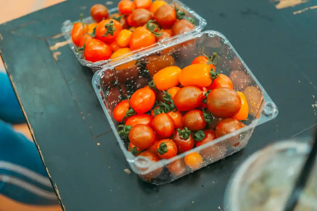 収穫されたばかりの新鮮なミニトマトがプラスチックの容器に入っている