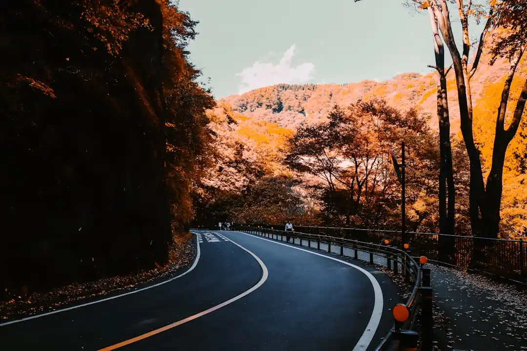 木々に囲まれた曲がりくねった山道を一台の黒い車が走っている