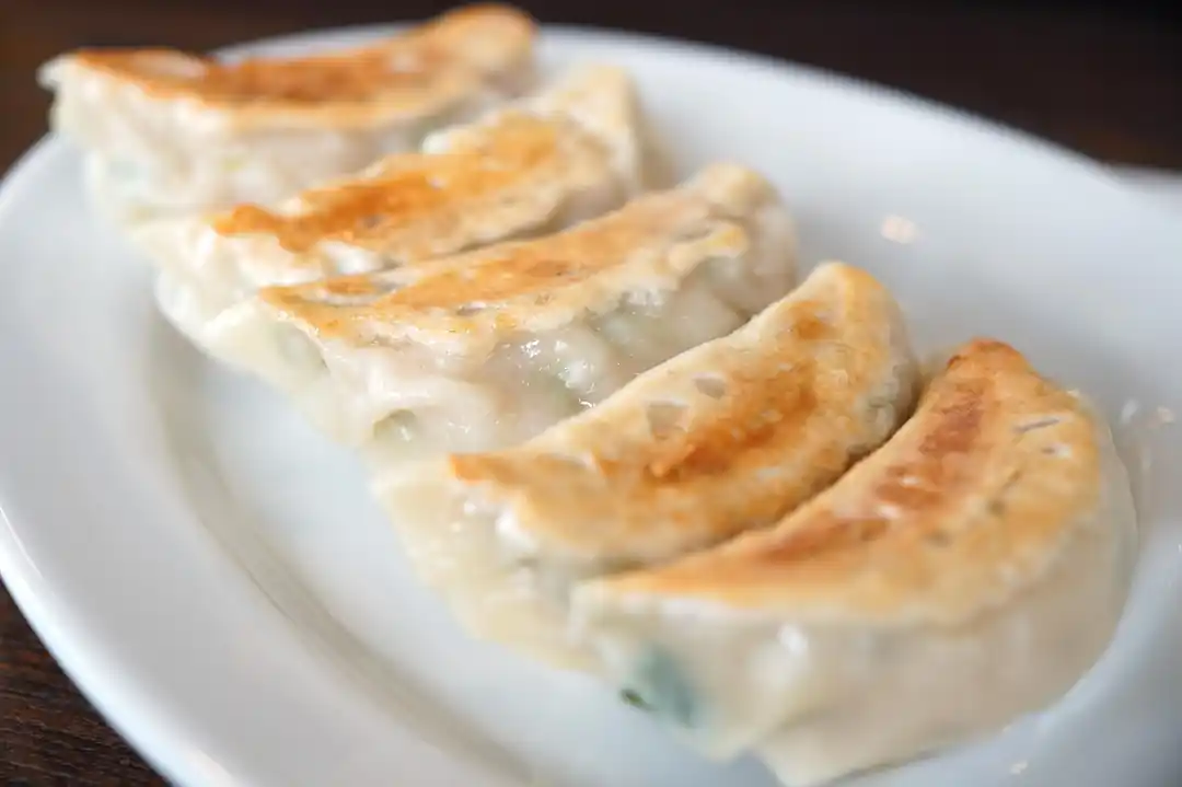 【宇都宮餃子】食べ歩き完全ガイド!おすすめ名店と効率よく巡るマップ術