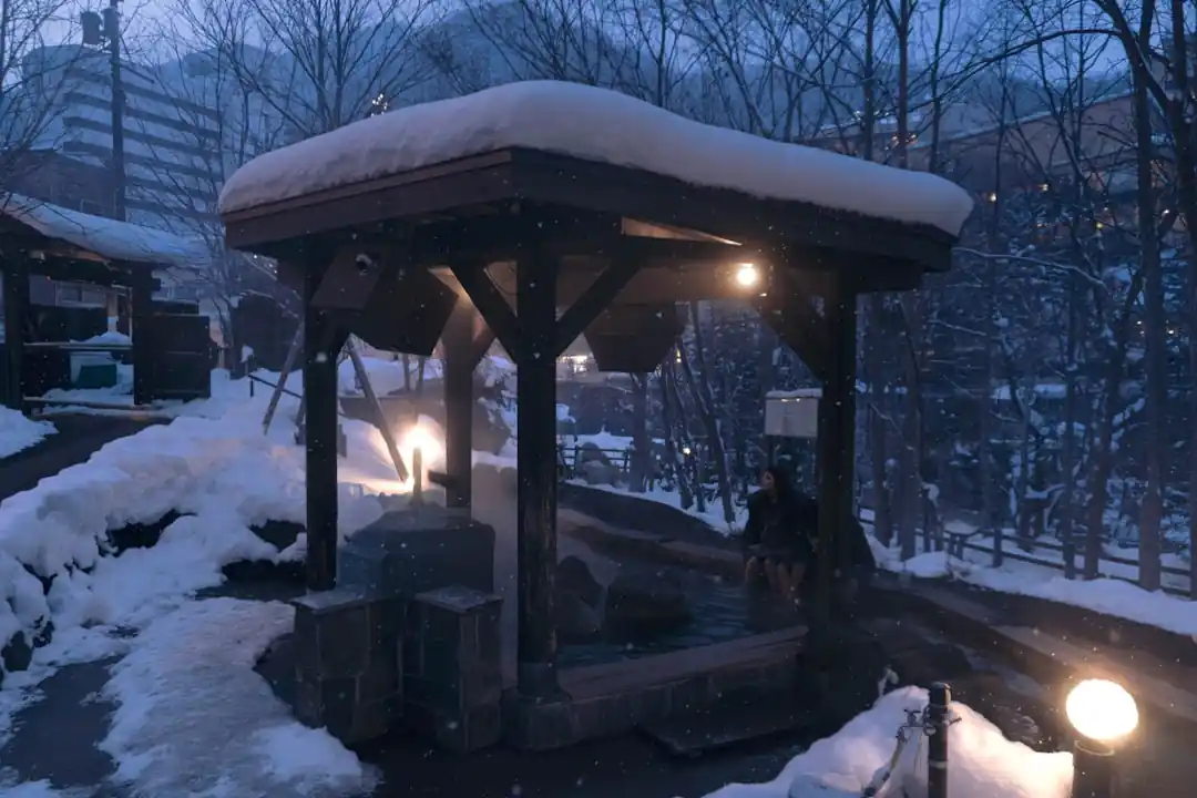 雪が舞う中、湯気が立ち上る屋根付きの露天風呂