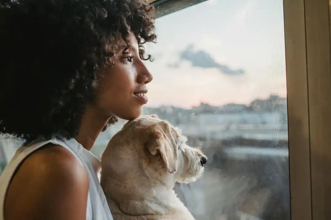 緊急時に愛犬を落ち着かせるためのしつけとコツ