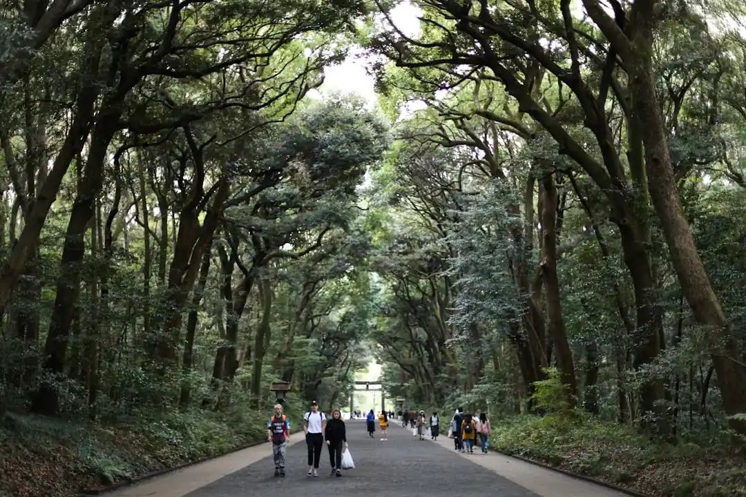 週末に行きたい東京のんびり散歩コース