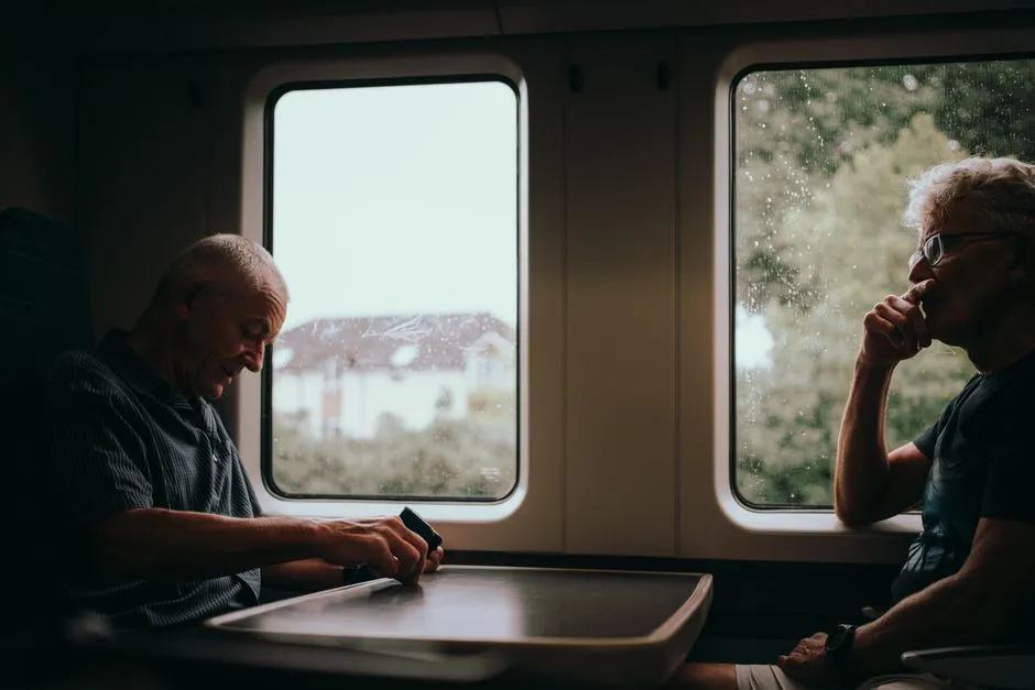 Two senior men looking out a train window at the countryside