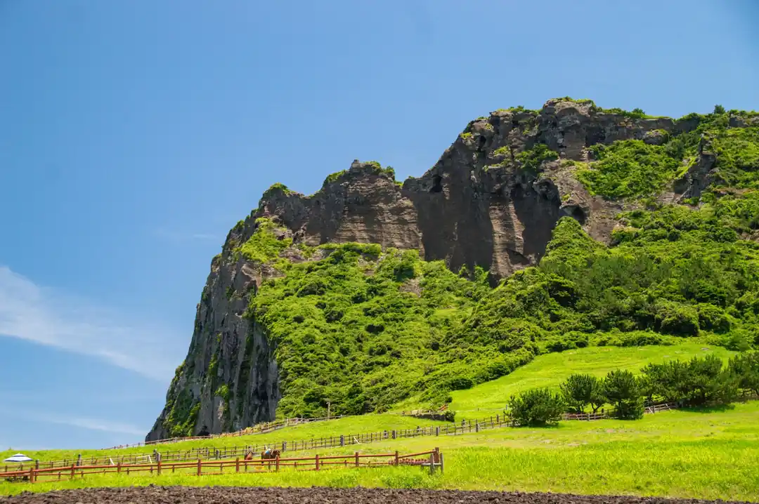 從遠處眺望濟州島的城山日出峰,這座巨大的火山錐被綠色植被覆蓋,矗立在海邊。