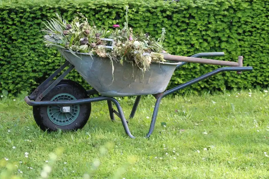 庭の雑草や枯れ草が山盛りに入った手押し車