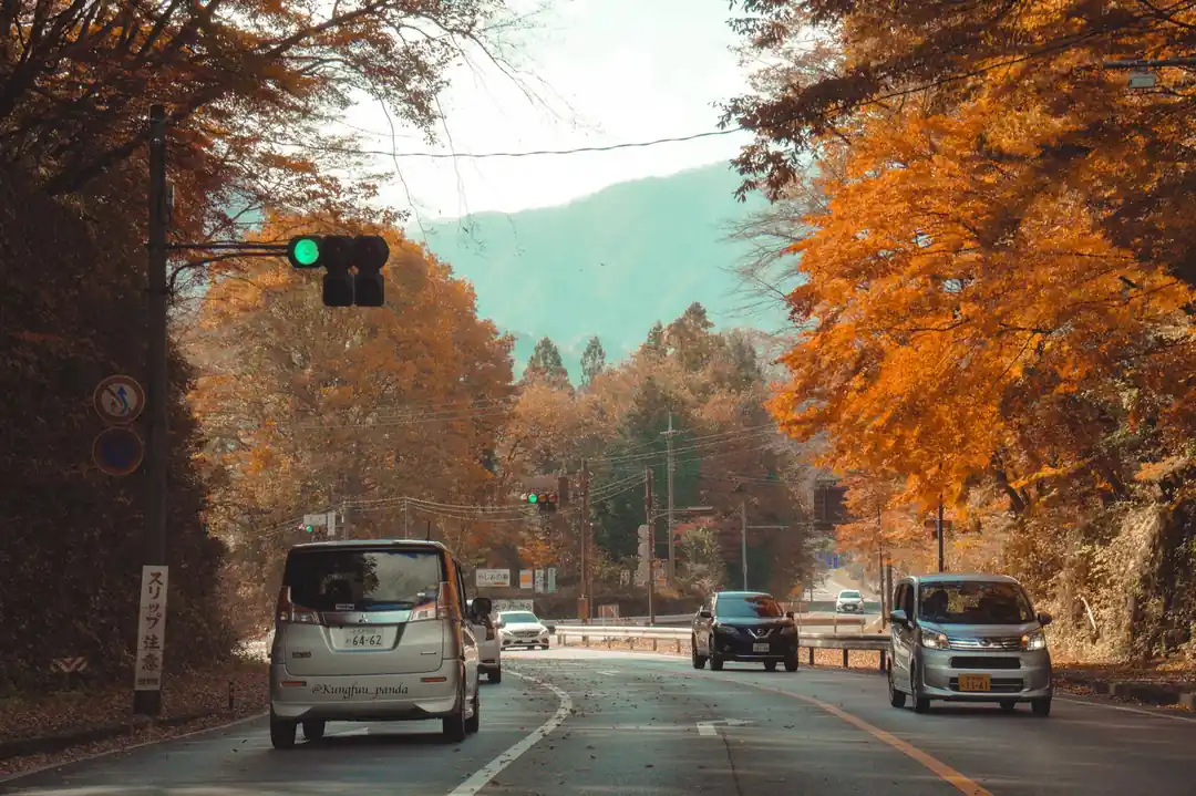 秋の山々を背景に、色鮮やかな紅葉の中を走る車