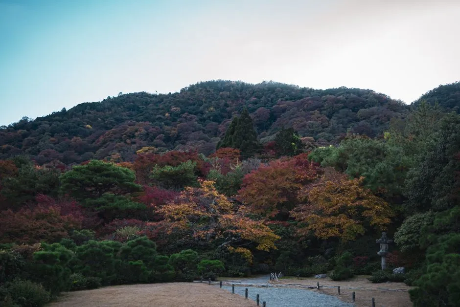 山々を背景に、鮮やかな紅葉に彩られた京都の静かな庭園
