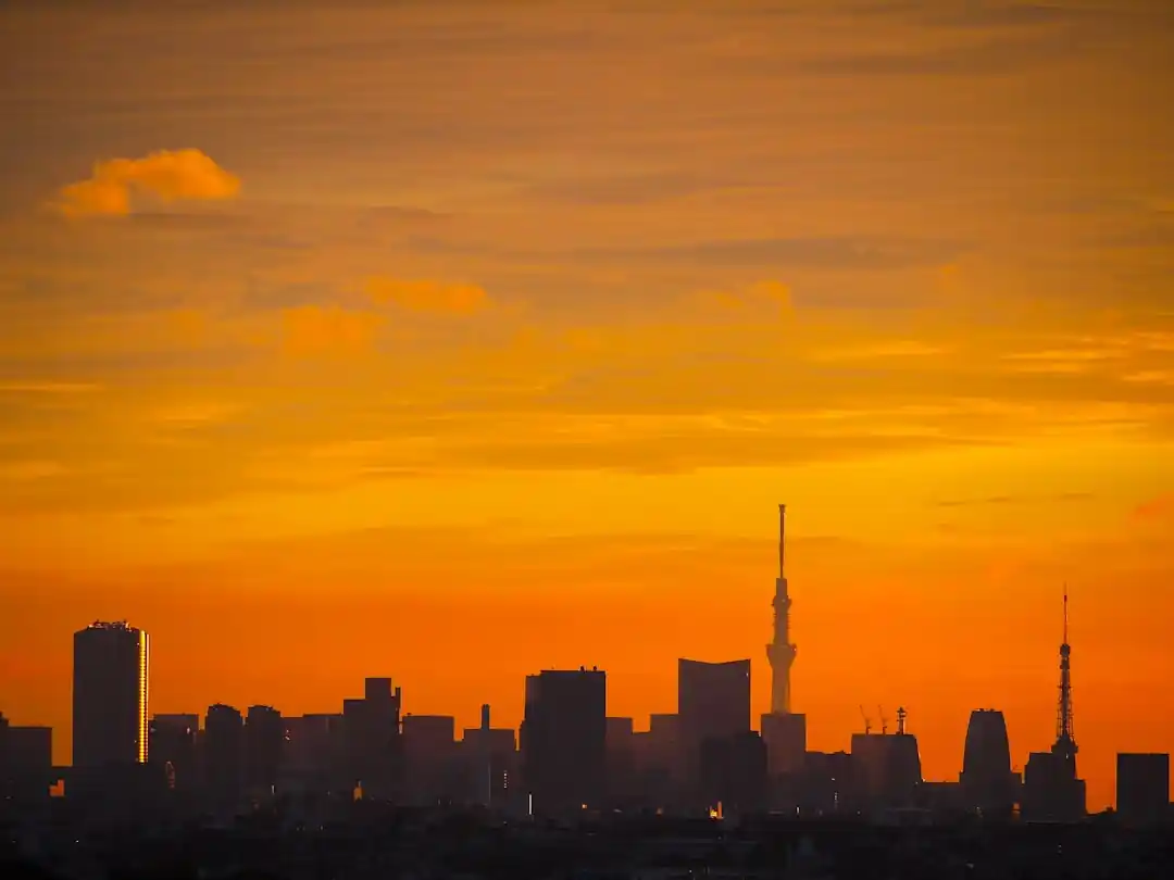 東京の朝を独り占め!日の出が見える穴場スポットで心と体をリセット