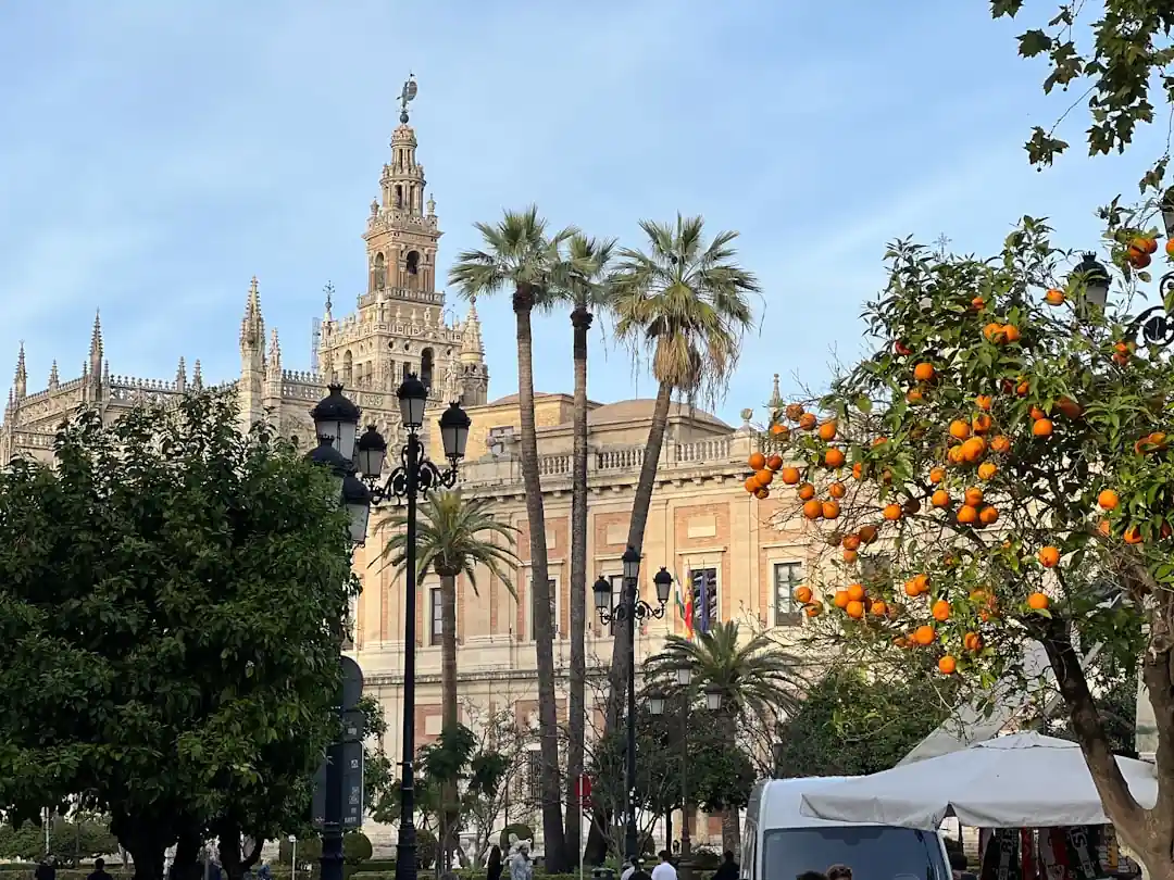 An orange tree stands in front of the intricate walls of the Real Alcázar in Seville.