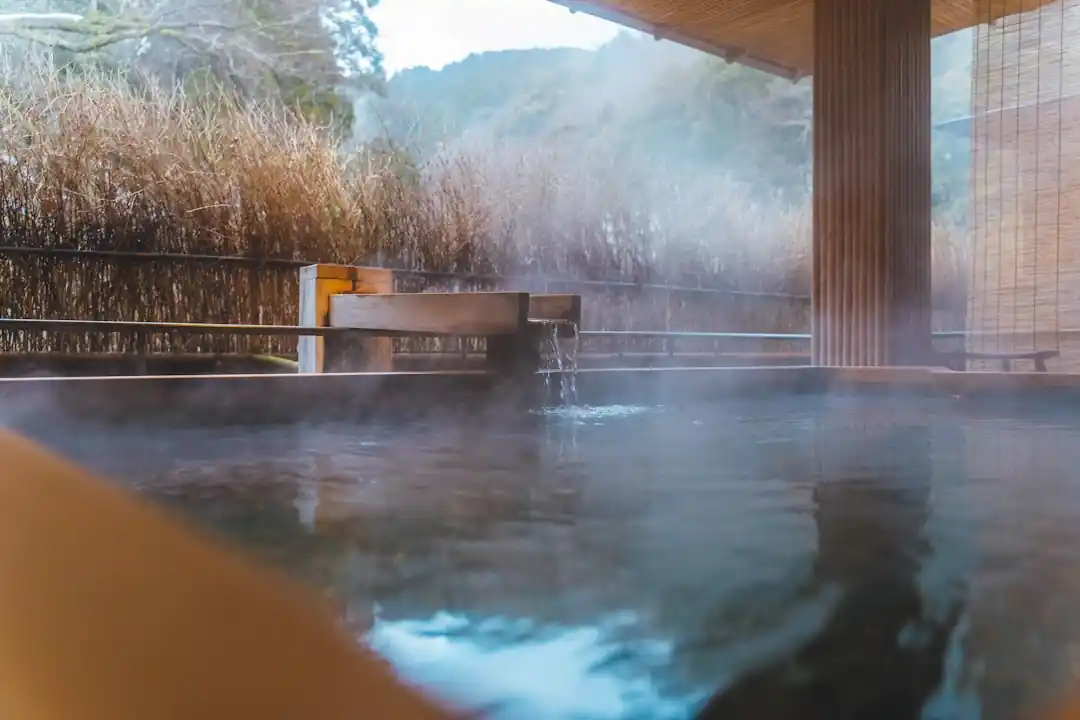 都心からすぐの非日常へ。小田急線で行く、心とろける日帰り温泉旅