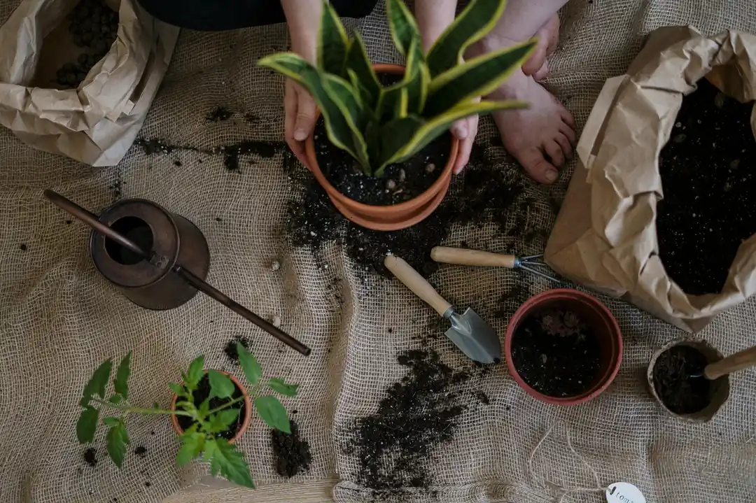 마대 위에 놓인 여러 화분과 원예용 도구들