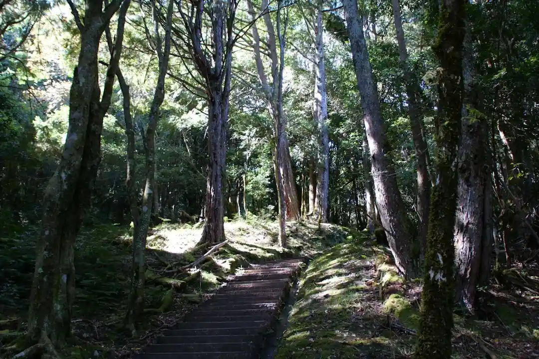 東京から熊野古道へ、心と体を癒す旅。最適なアクセス方法を徹底比較!