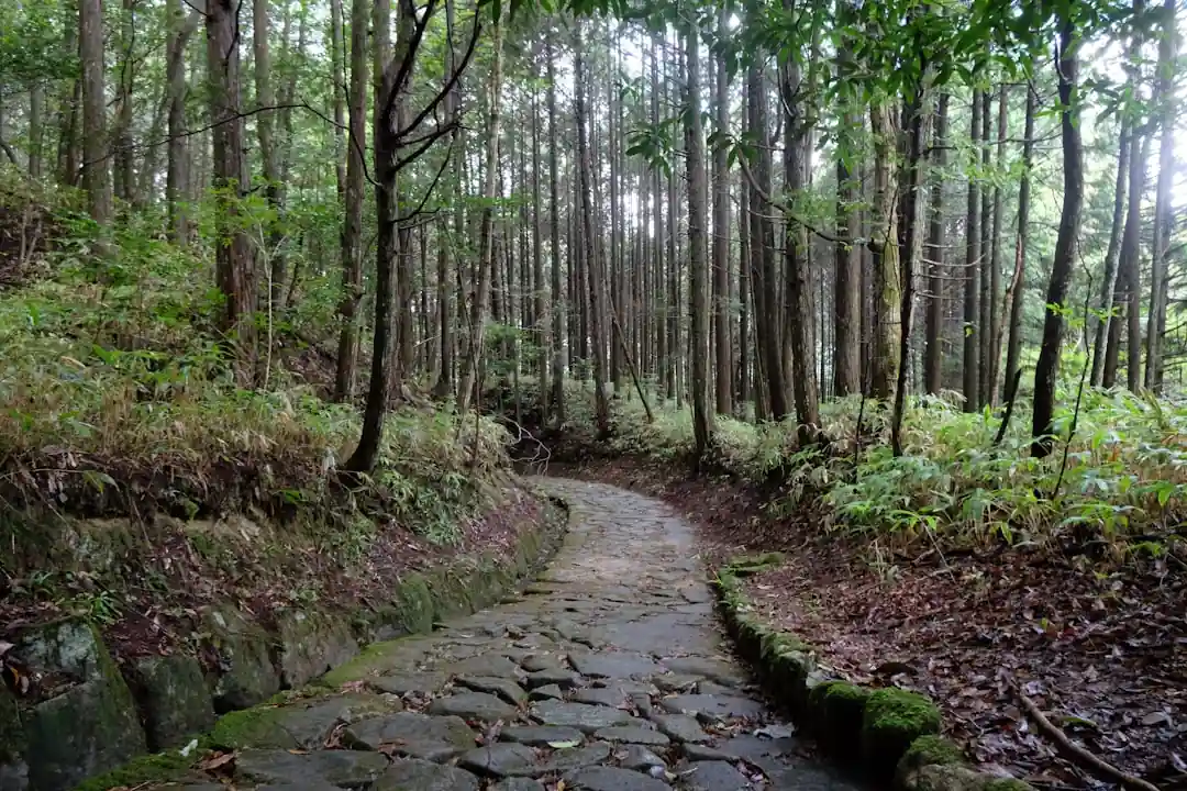 熊野古道沿いの宿選び完全ガイド:予約のコツと心に残るおすすめエリア