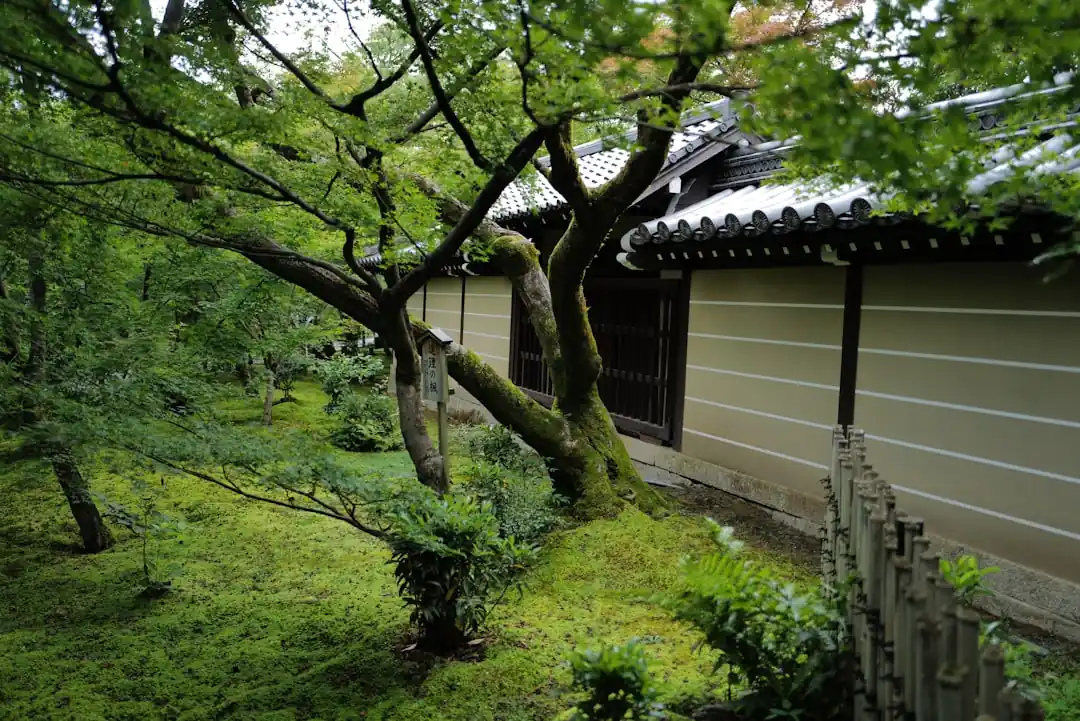 【2026年版】失敗しない旅館の選び方|人気予約サイトの比較と使い分け術