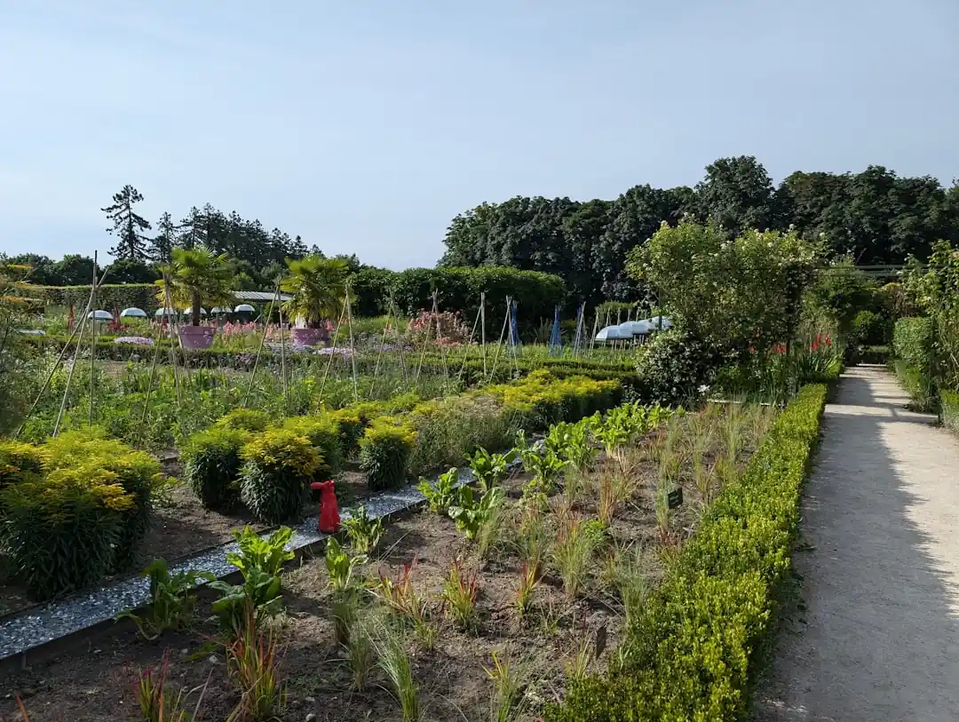 季節の巡りを感じて。二十四節気ではじめる、心豊かな家庭菜園