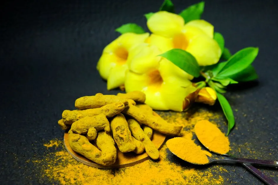 Fresh turmeric roots and bright yellow powder with flowers on a dark background.