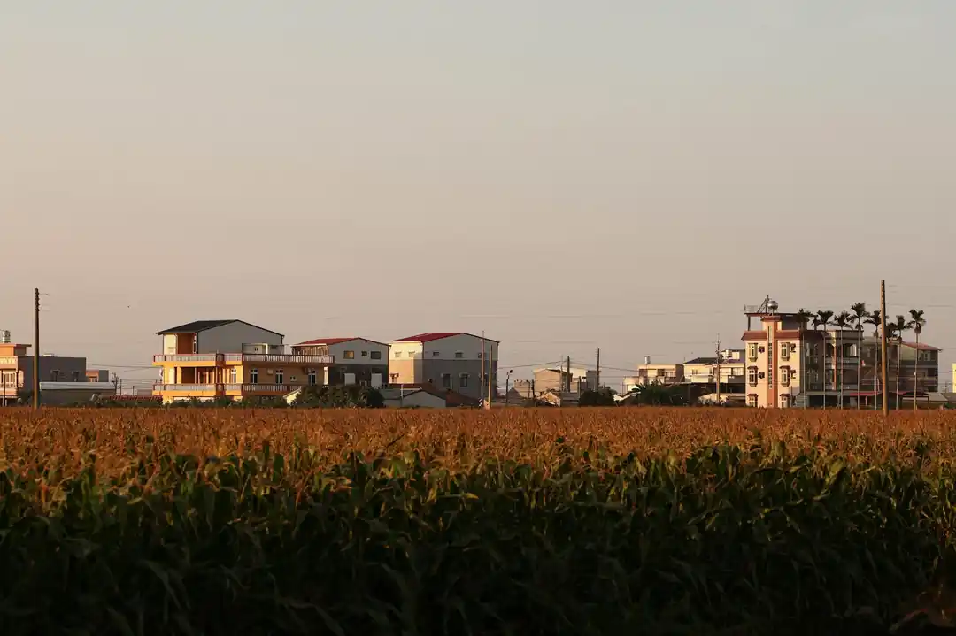 嘉義市郊的農田與建築在夕陽餘暉下,呈現一片金黃色的溫暖景象。
