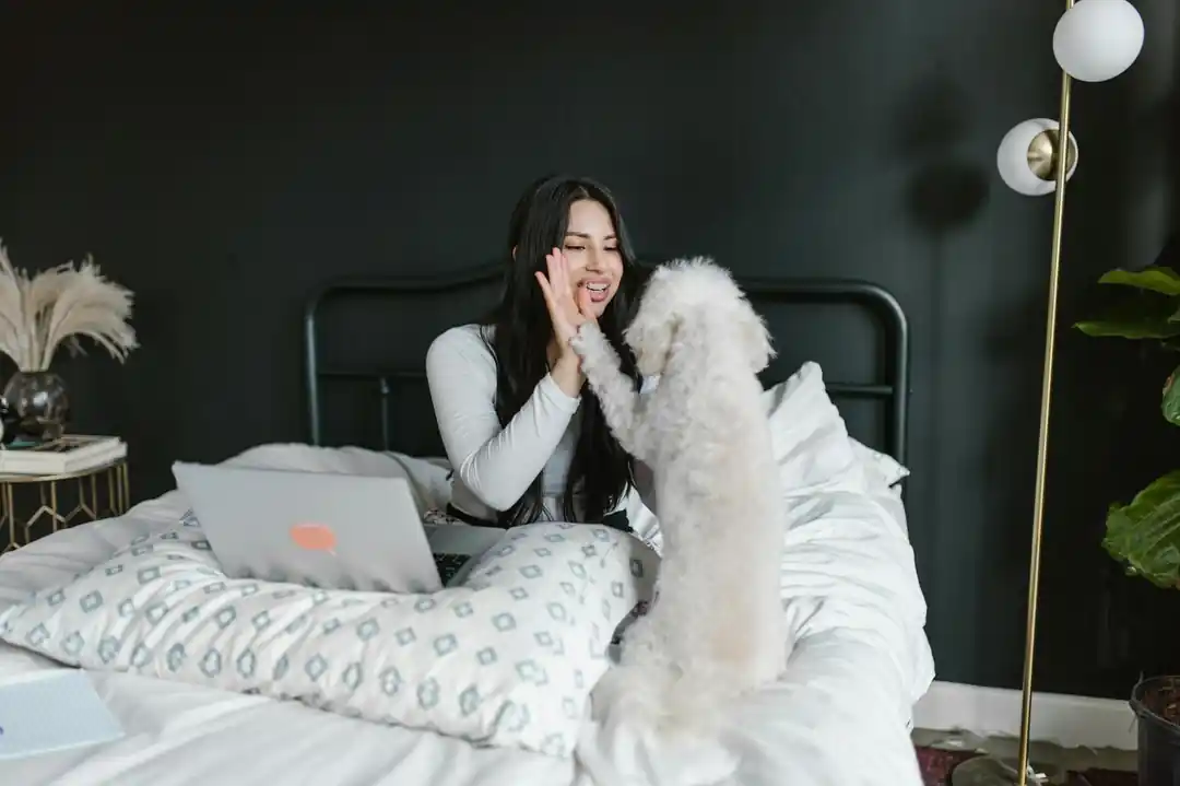 犬のしつけはいつから始めるべき?基本的なコマンドと成功の秘訣