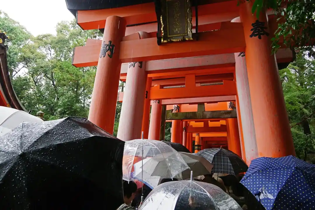 傘を差した人々が京都の伏見稲荷大社の赤い鳥居の道を歩いている