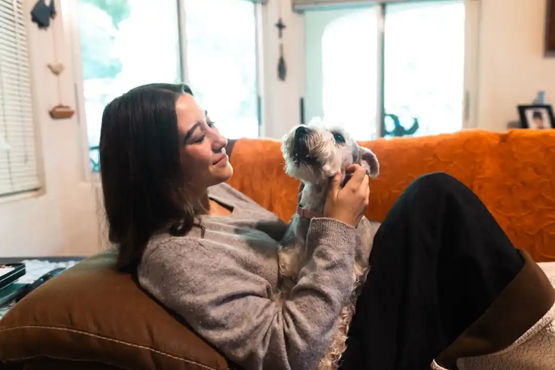 ソファで小さな犬を優しく抱きしめる女性