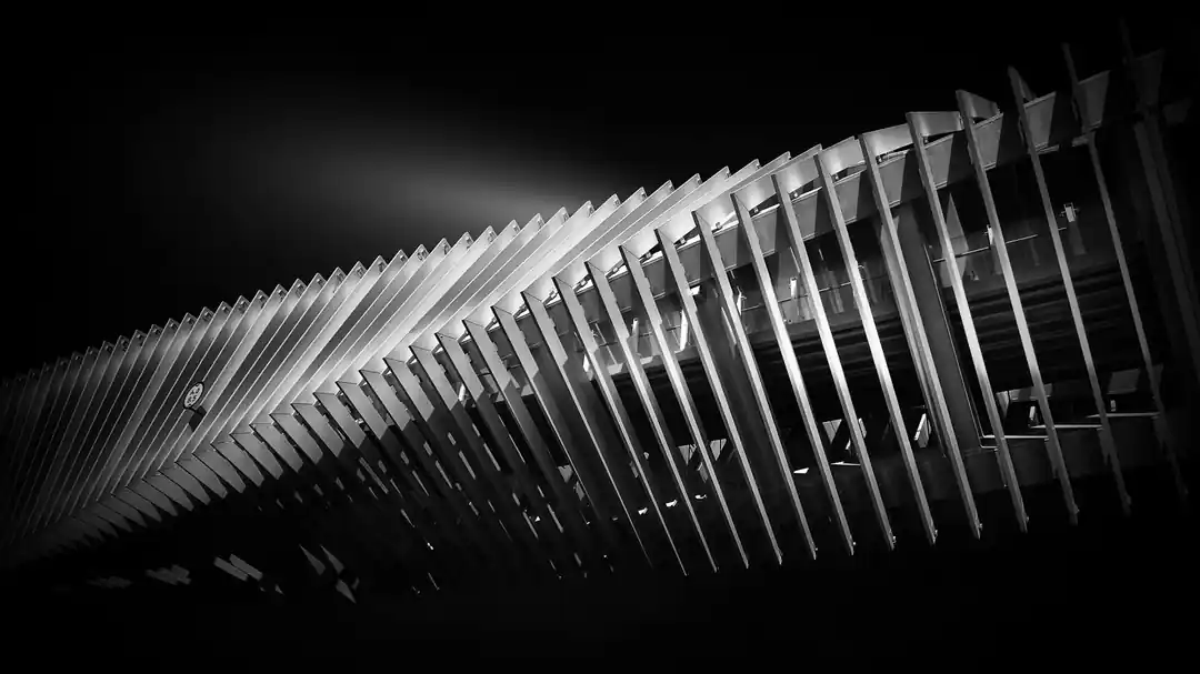 理学療法士が患者の肩のリハビリをサポートしている