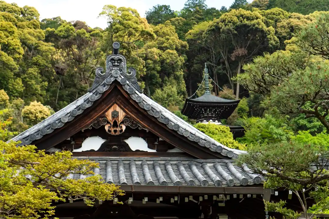 緑の木々に囲まれた、趣のある日本の古いお寺の建物。