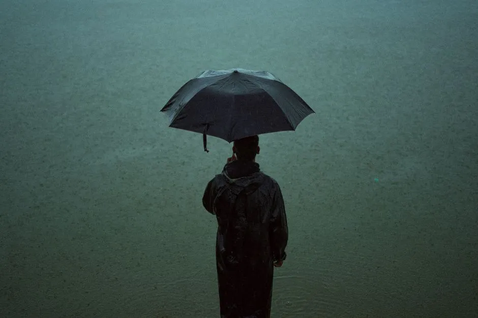 一名人在雨中獨自撐著傘,營造出憂鬱且安靜的氛圍。
