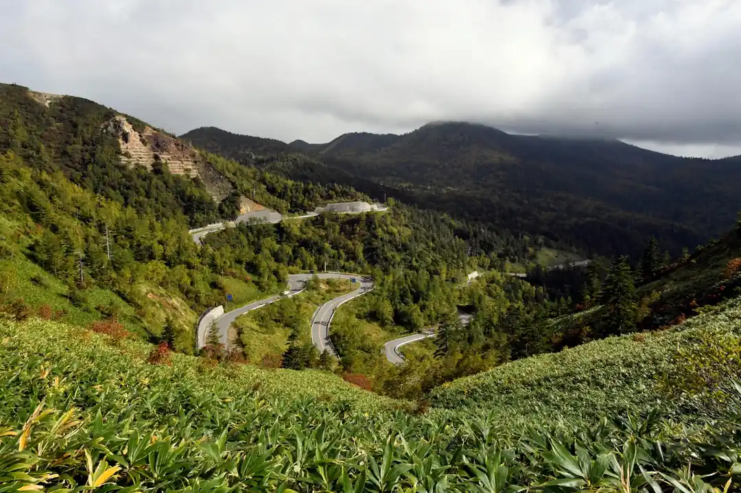 緑豊かな山々を縫うように走る、カーブの多い高原の道路。