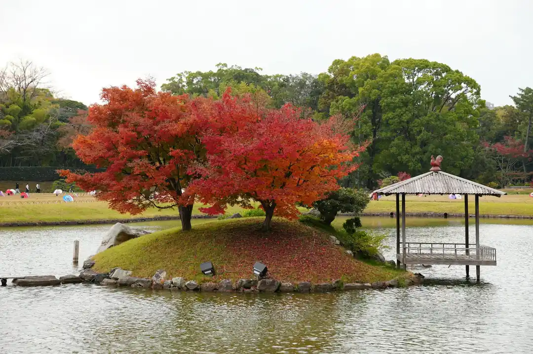 紅葉が美しい岡山後楽園の秋の風景