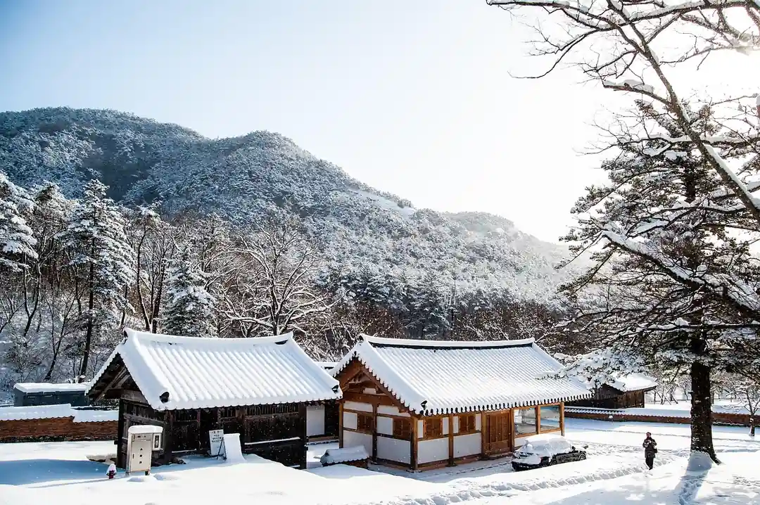겨울 눈 쌓인 한국의 전통 사찰 전경