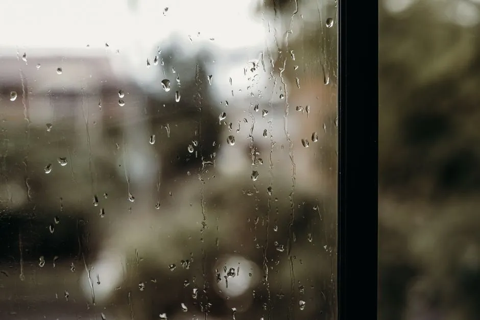 豪雨や台風時の不安を軽減する就寝準備ルーティンと呼吸法