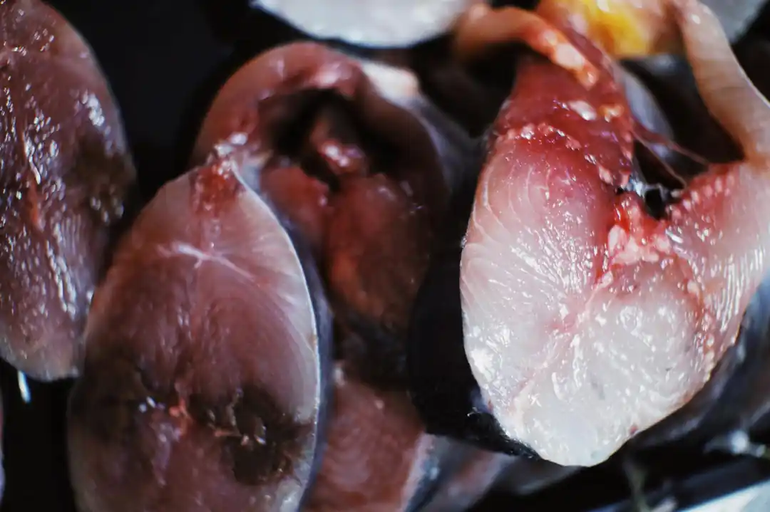 白い背景に置かれた、新鮮なマグロの切り身