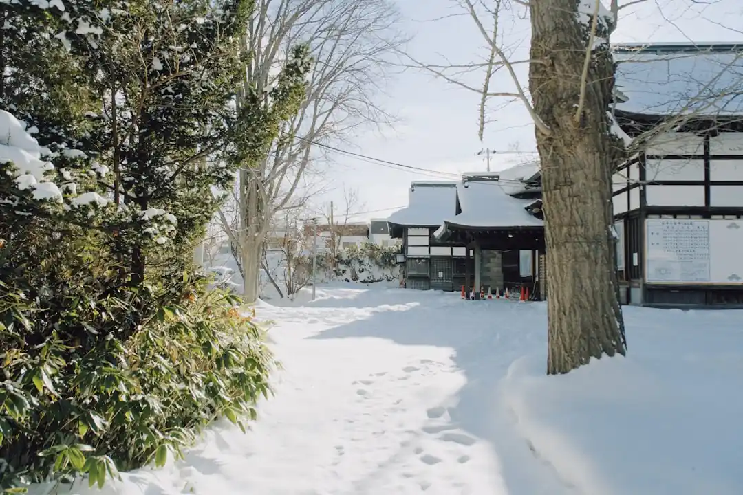 雪が積もった小道が、伝統的な日本の建物へと続いている夜の風景。