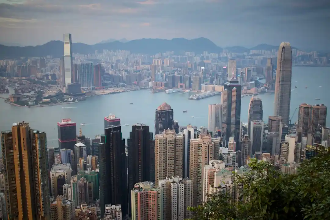 香港的城市景觀,高樓林立,維多利亞港在建築群前展開。