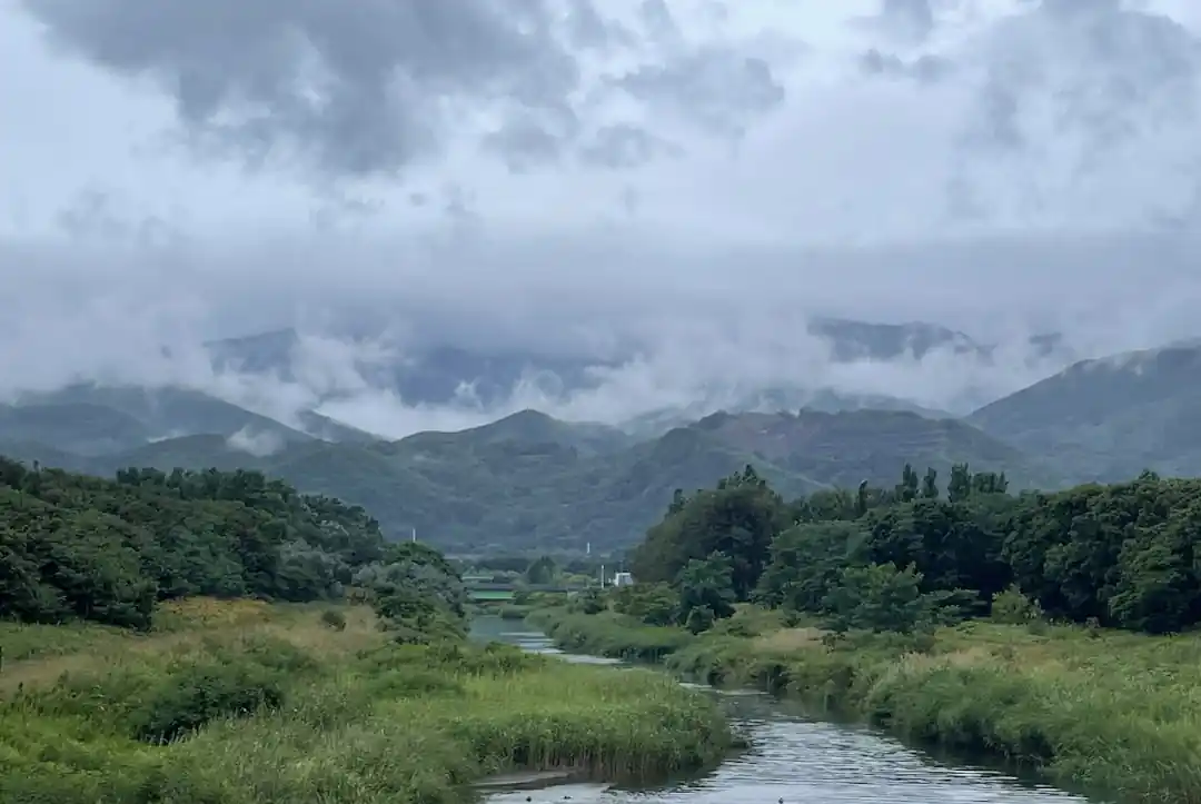 朝霧が立ち込める緑豊かな渓谷の風景