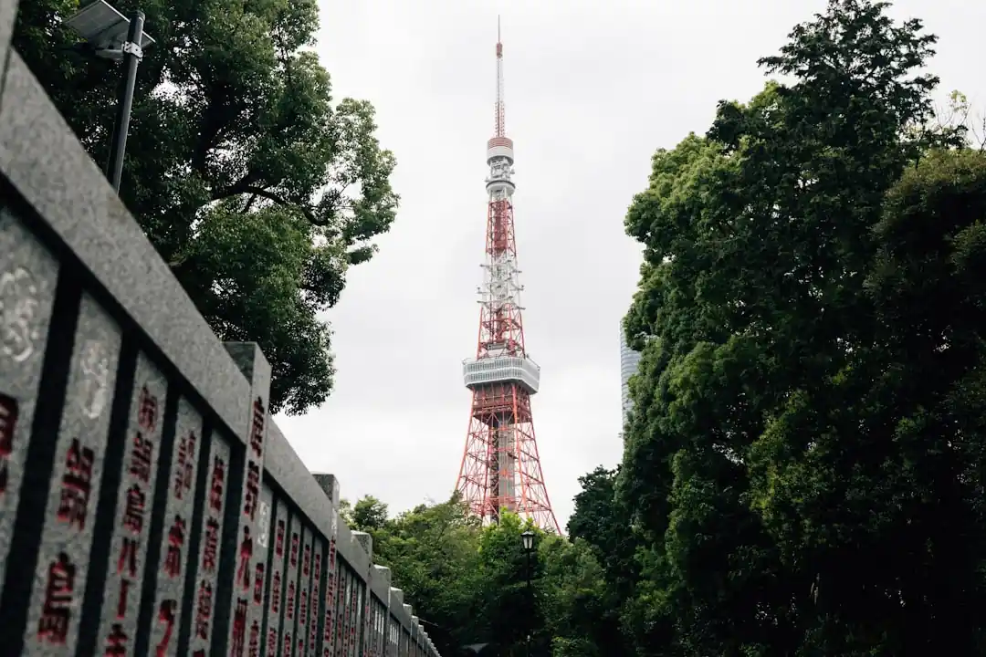 木々と石垣の間から見える東京タワー。